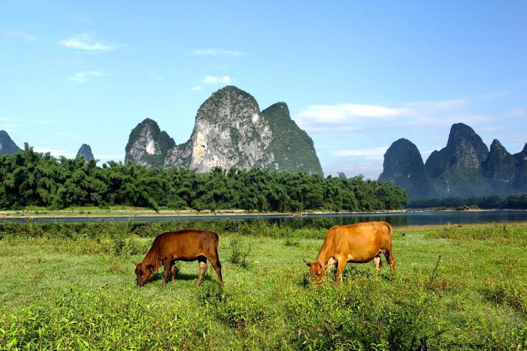 Ctn Li River Hotel Yangshuo Exterior foto